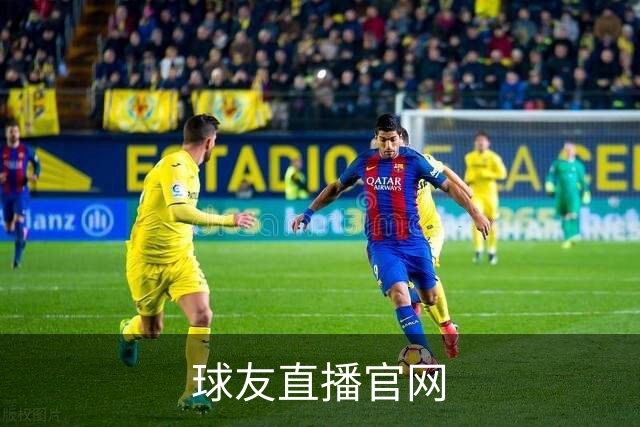 球友直播官网公司简介展示图